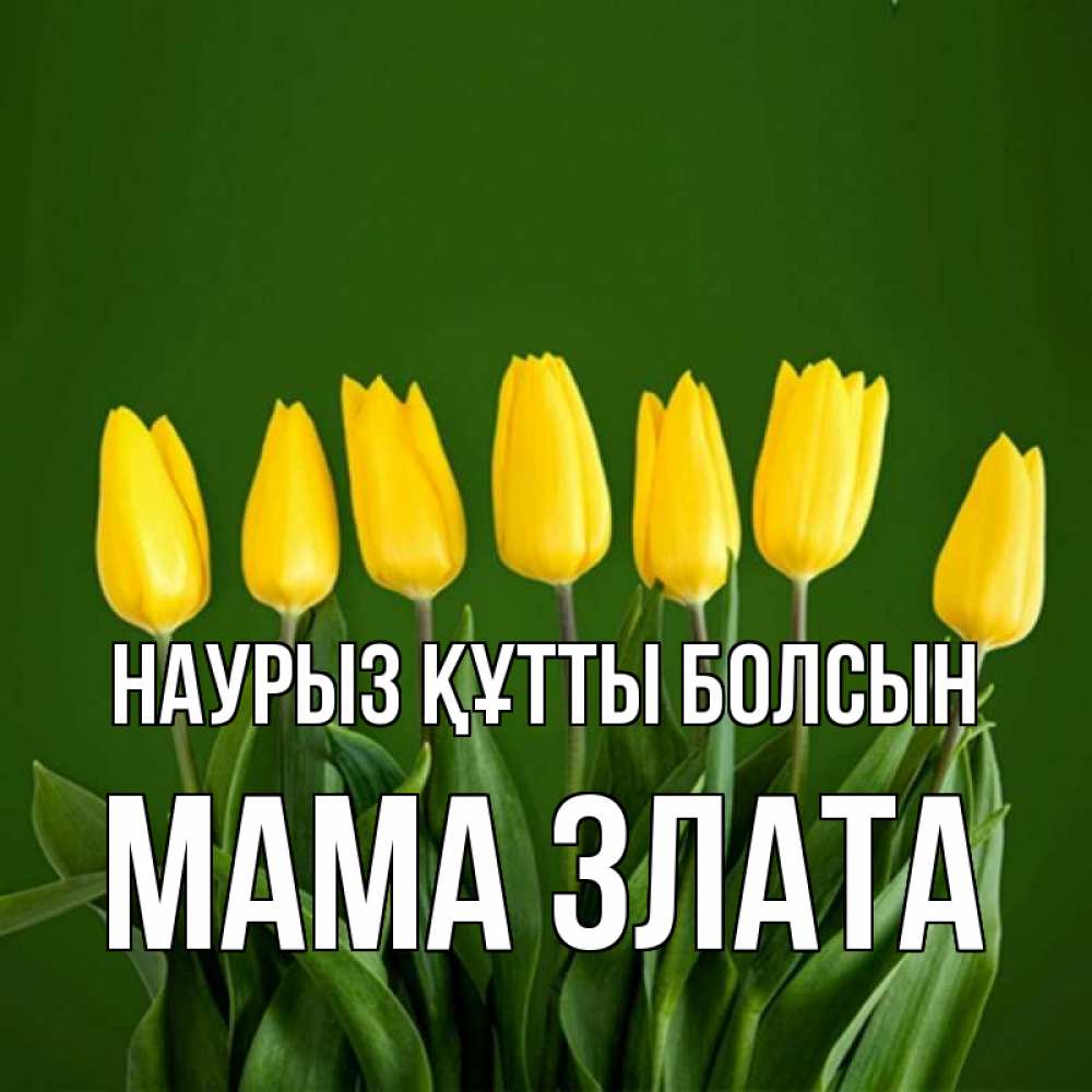 Открытка на каждый день с именем, Мама-Злата Наурыз құтты болсын желтого цвета 3 Прикольная открытка с пожеланием онлайн скачать бесплатно 