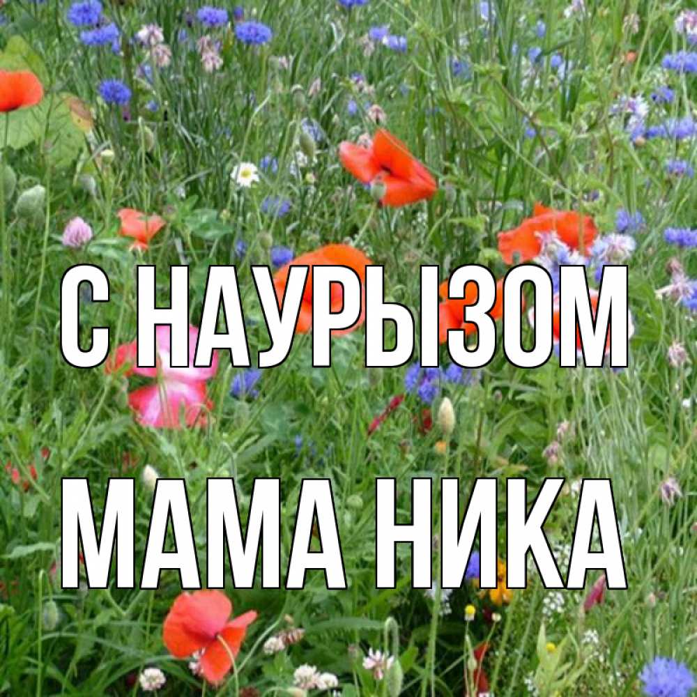 Открытка на каждый день с именем, Мама-Ника С наурызом праздник весны наурыз супер открытка Прикольная открытка с пожеланием онлайн скачать бесплатно 