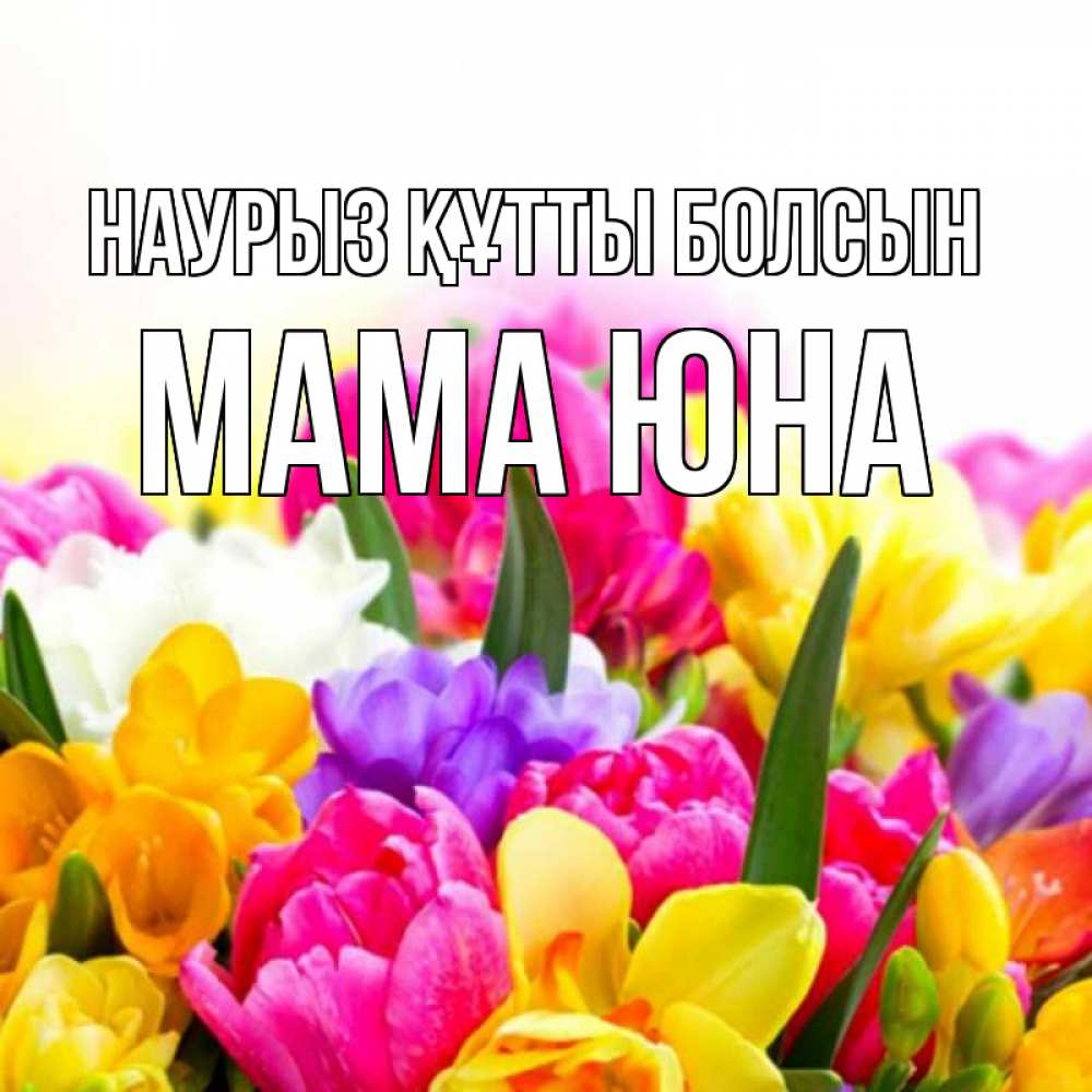 Открытка на каждый день с именем, Мама-Юна Наурыз құтты болсын тюльпаны Прикольная открытка с пожеланием онлайн скачать бесплатно 