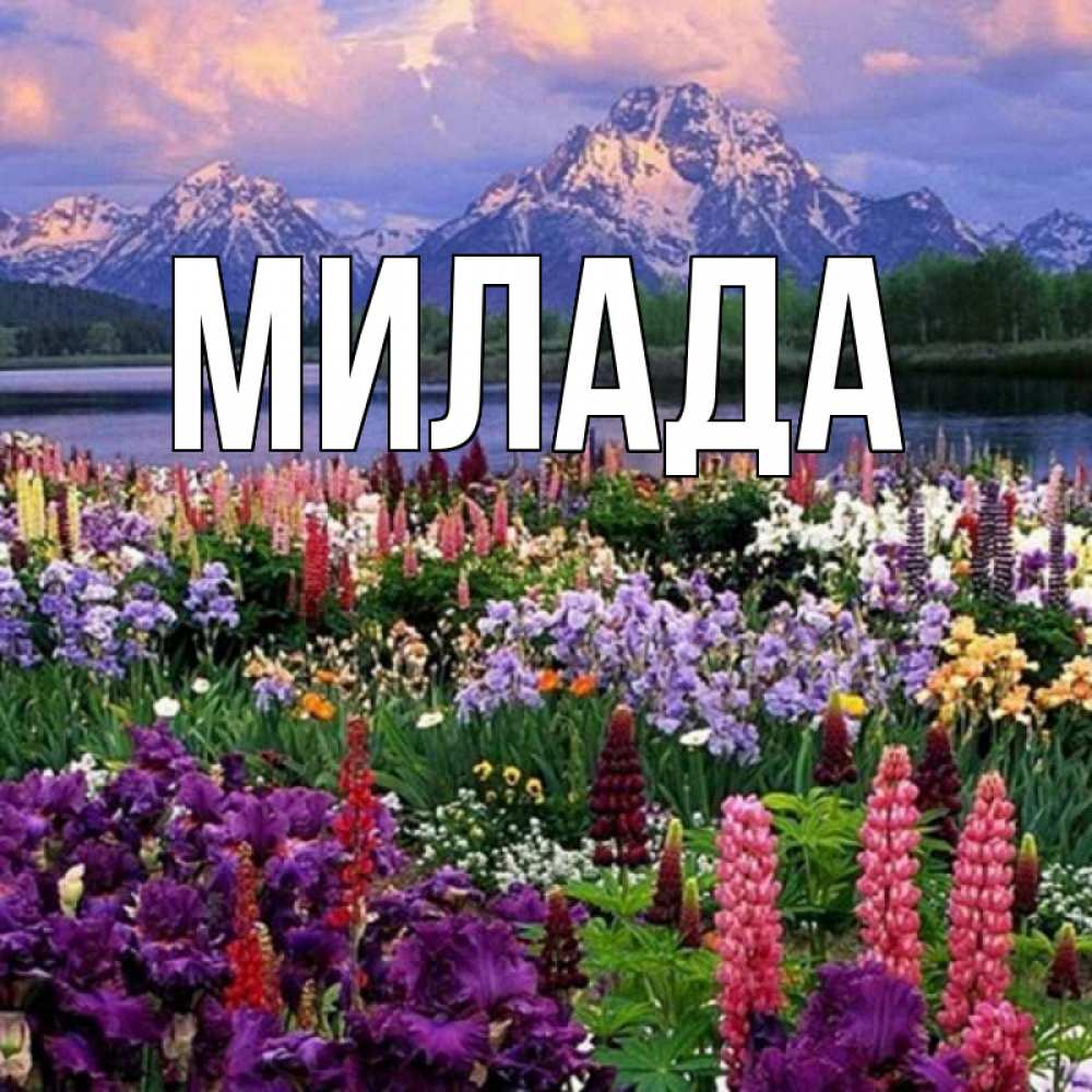 Открытка на каждый день с именем, Милада Главная праздник весны наурыз Прикольная открытка с пожеланием онлайн скачать бесплатно 