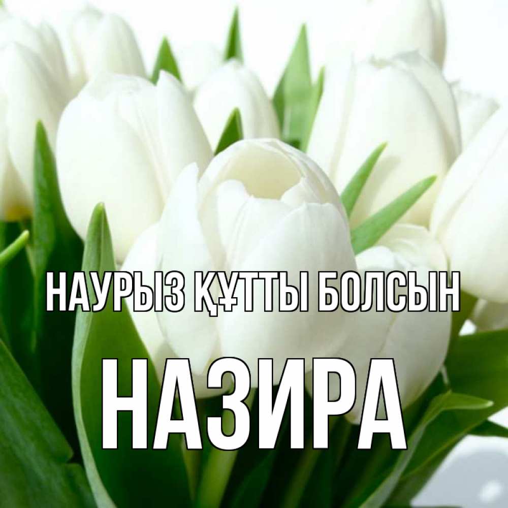 Открытка на каждый день с именем, Назира Наурыз құтты болсын цветы Прикольная открытка с пожеланием онлайн скачать бесплатно 