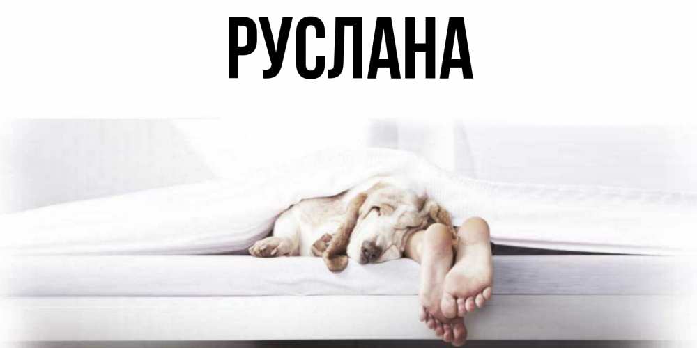 Открытка на каждый день с именем, Руслана Главная кровать с собакой пожелание сладких снов и спокойной ночи Прикольная открытка с пожеланием онлайн скачать бесплатно 