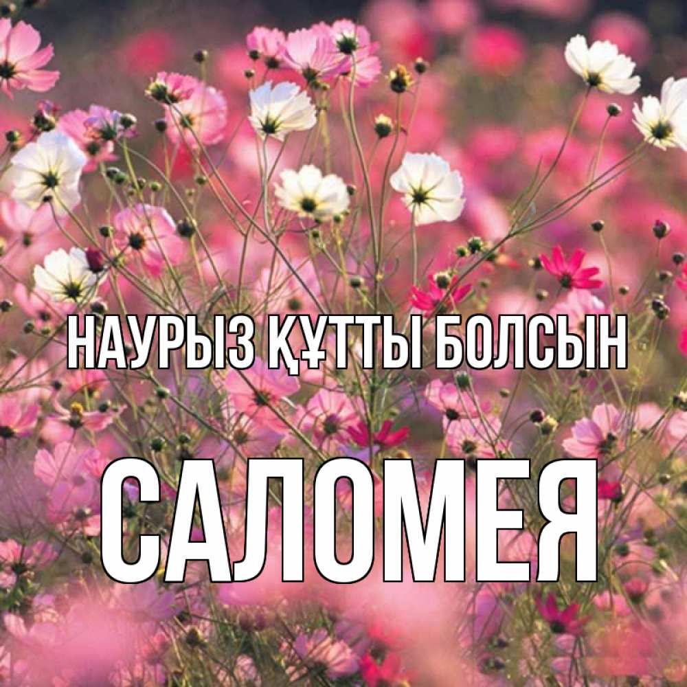 Открытка на каждый день с именем, Саломея Наурыз құтты болсын красиво 1 Прикольная открытка с пожеланием онлайн скачать бесплатно 