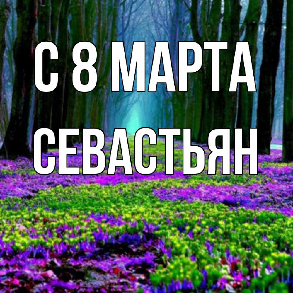 Открытка на каждый день с именем, Севастьян С 8 МАРТА фиолетовые цветы в лесу 1 Прикольная открытка с пожеланием онлайн скачать бесплатно 