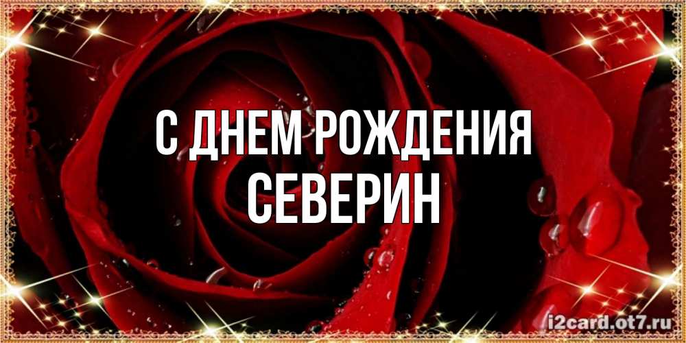Открытка на каждый день с именем, Северин С днем рождения цветок в росе на день рождения Прикольная открытка с пожеланием онлайн скачать бесплатно 