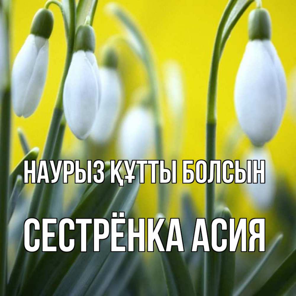Открытка на каждый день с именем, Сестрёнка-Асия Наурыз құтты болсын весенние цветы Прикольная открытка с пожеланием онлайн скачать бесплатно 
