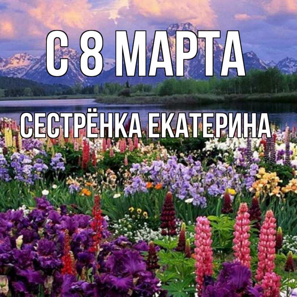 Открытка на каждый день с именем, Сестрёнка-Екатерина С 8 МАРТА международный женский день Прикольная открытка с пожеланием онлайн скачать бесплатно 
