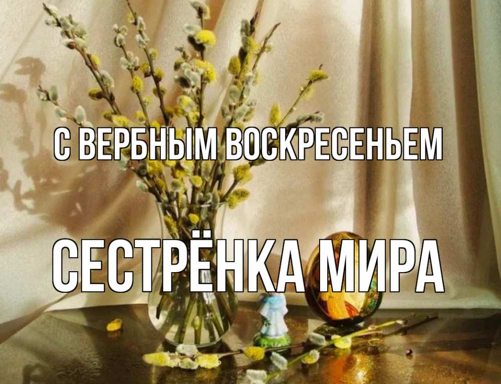 Открытка на каждый день с именем, Сестрёнка-Мира С вербным воскресеньем верба 1 Прикольная открытка с пожеланием онлайн скачать бесплатно 