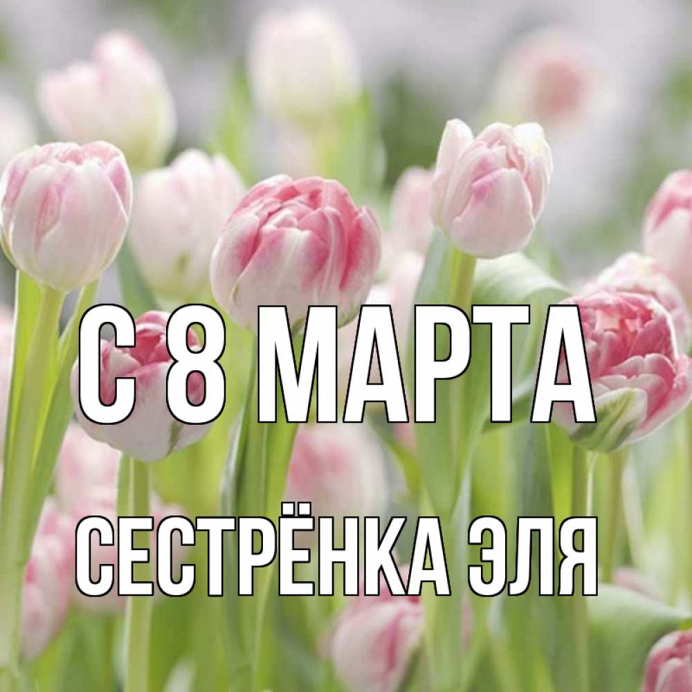 Открытка на каждый день с именем, Сестрёнка-Эля С 8 МАРТА цветы Прикольная открытка с пожеланием онлайн скачать бесплатно 