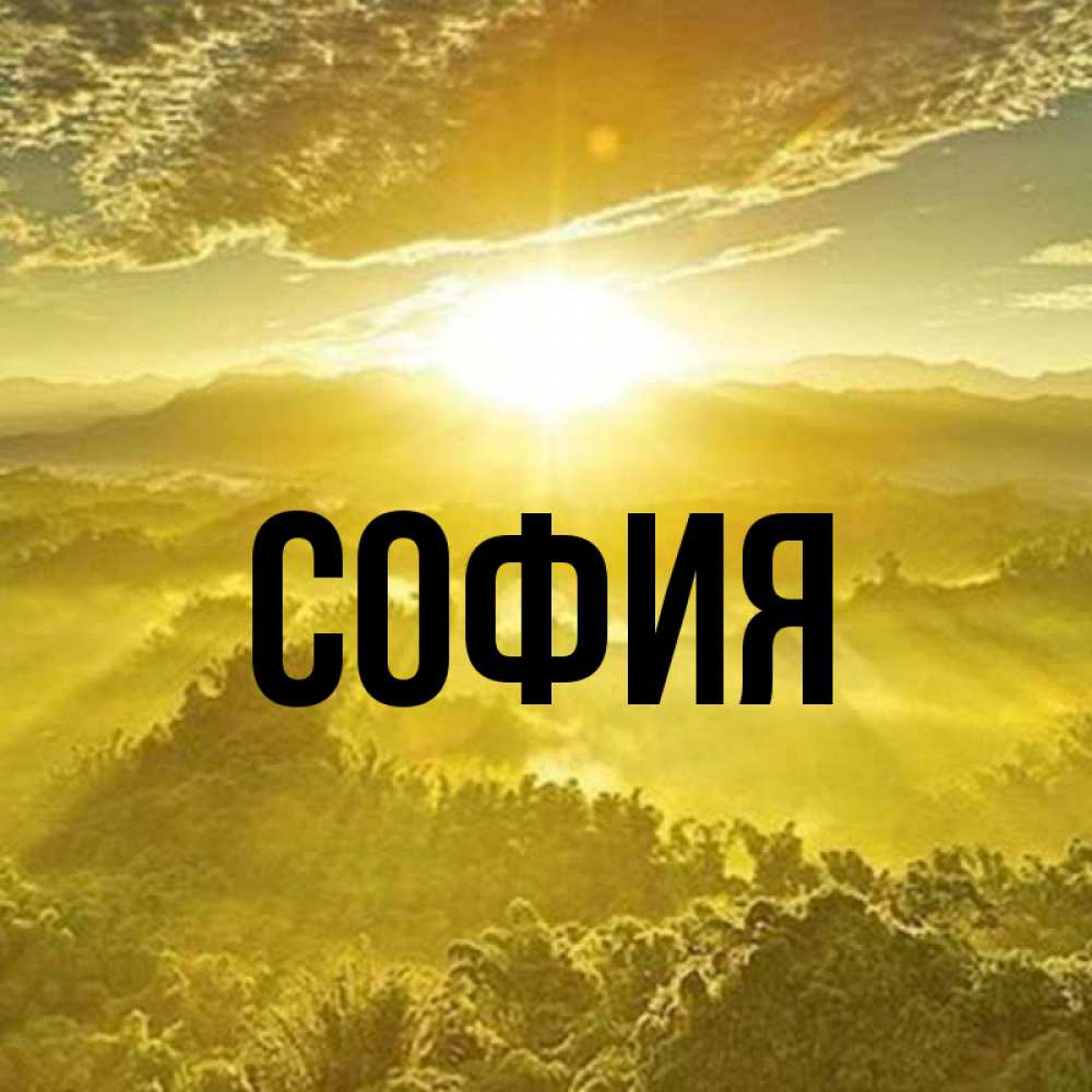 Открытка на каждый день с именем, София Главная леса и небо в желтом Прикольная открытка с пожеланием онлайн скачать бесплатно 