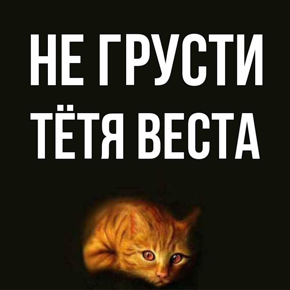 Открытка на каждый день с именем, Тётя-Веста Не грусти лежащий кот в темноте Прикольная открытка с пожеланием онлайн скачать бесплатно 
