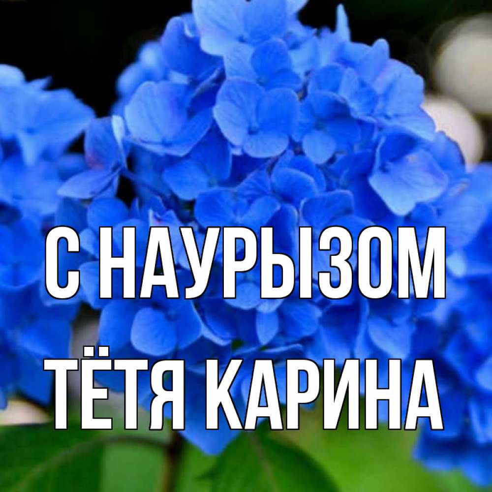 Открытка на каждый день с именем, Тётя-Карина С наурызом синие цветы Прикольная открытка с пожеланием онлайн скачать бесплатно 