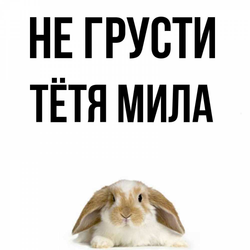 Открытка на каждый день с именем, Тётя-Мила Не грусти коричнево белый заяц с большими ушками Прикольная открытка с пожеланием онлайн скачать бесплатно 