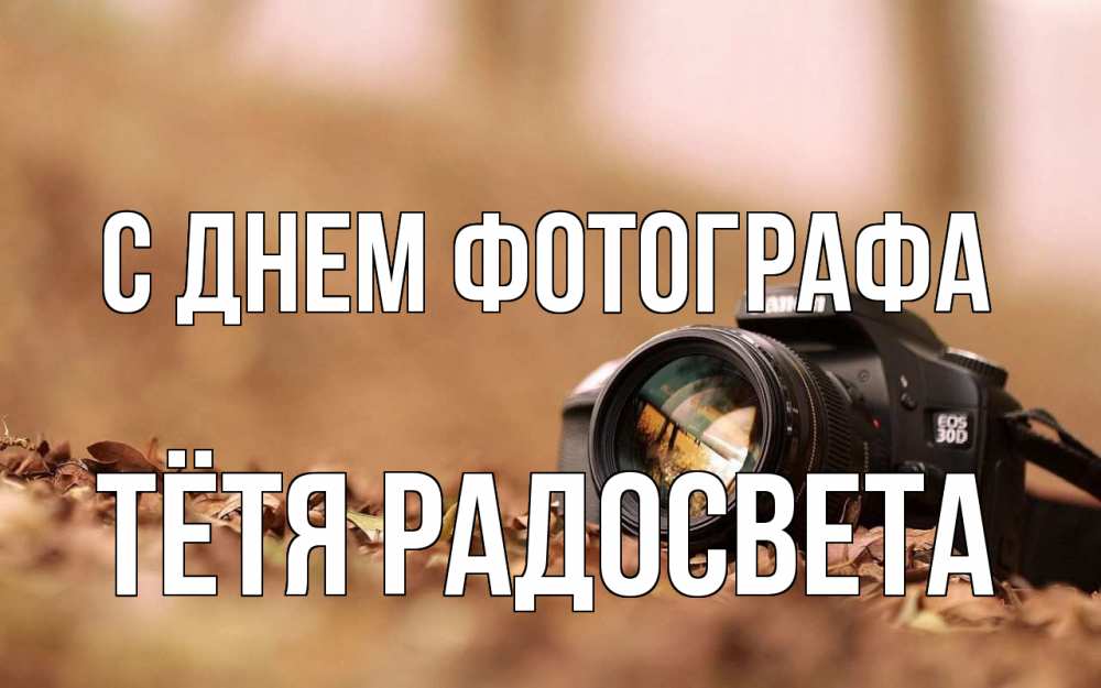 Открытка на каждый день с именем, Тётя-Радосвета С днем фотографа с днем фотографа Прикольная открытка с пожеланием онлайн скачать бесплатно 