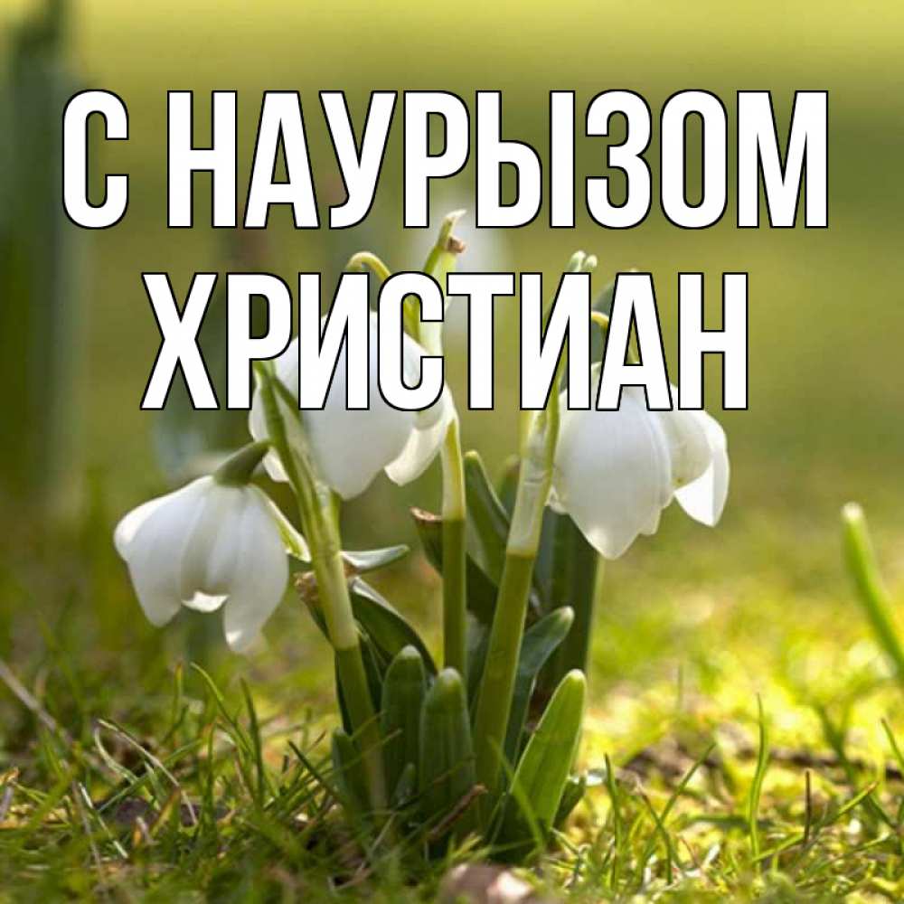 Открытка на каждый день с именем, Христиан С наурызом ранние цветы 2 Прикольная открытка с пожеланием онлайн скачать бесплатно 