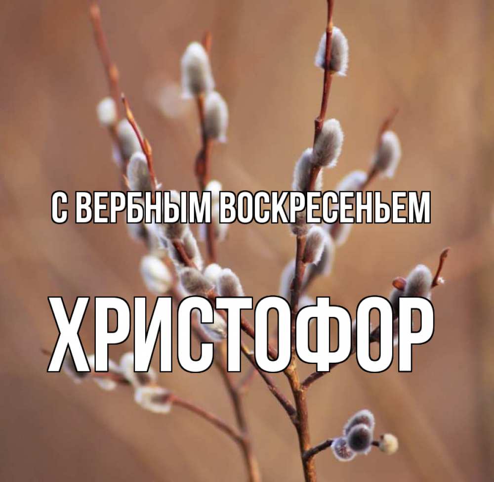 Открытка на каждый день с именем, Христофор С вербным воскресеньем верба Прикольная открытка с пожеланием онлайн скачать бесплатно 
