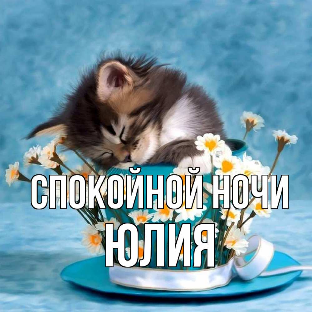 Открытка на каждый день с именем, Юлия Спокойной ночи котенок спит в кружке с блюдцем Прикольная открытка с пожеланием онлайн скачать бесплатно 