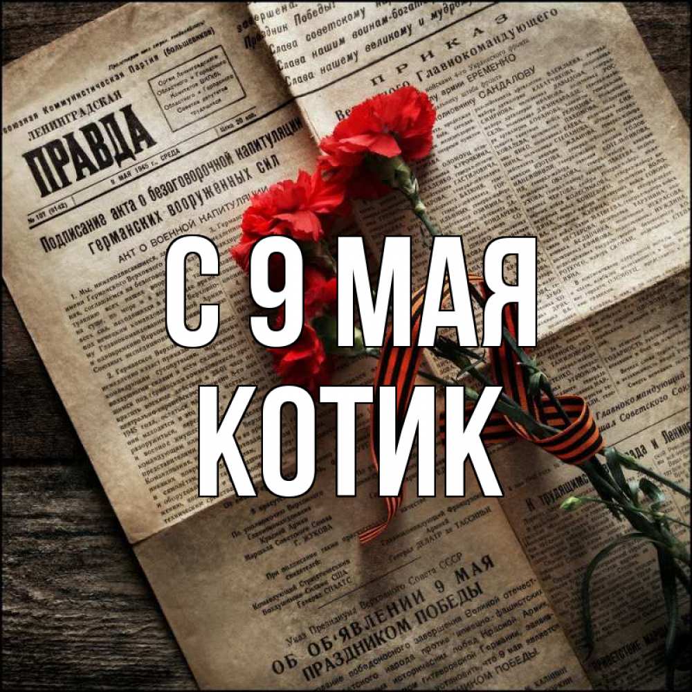 Картинка С 9 мая, котик