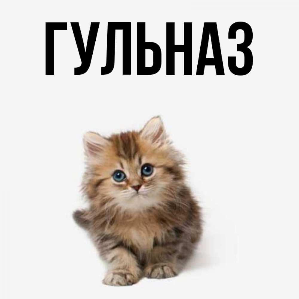 Картинка  с именем , Гульназ