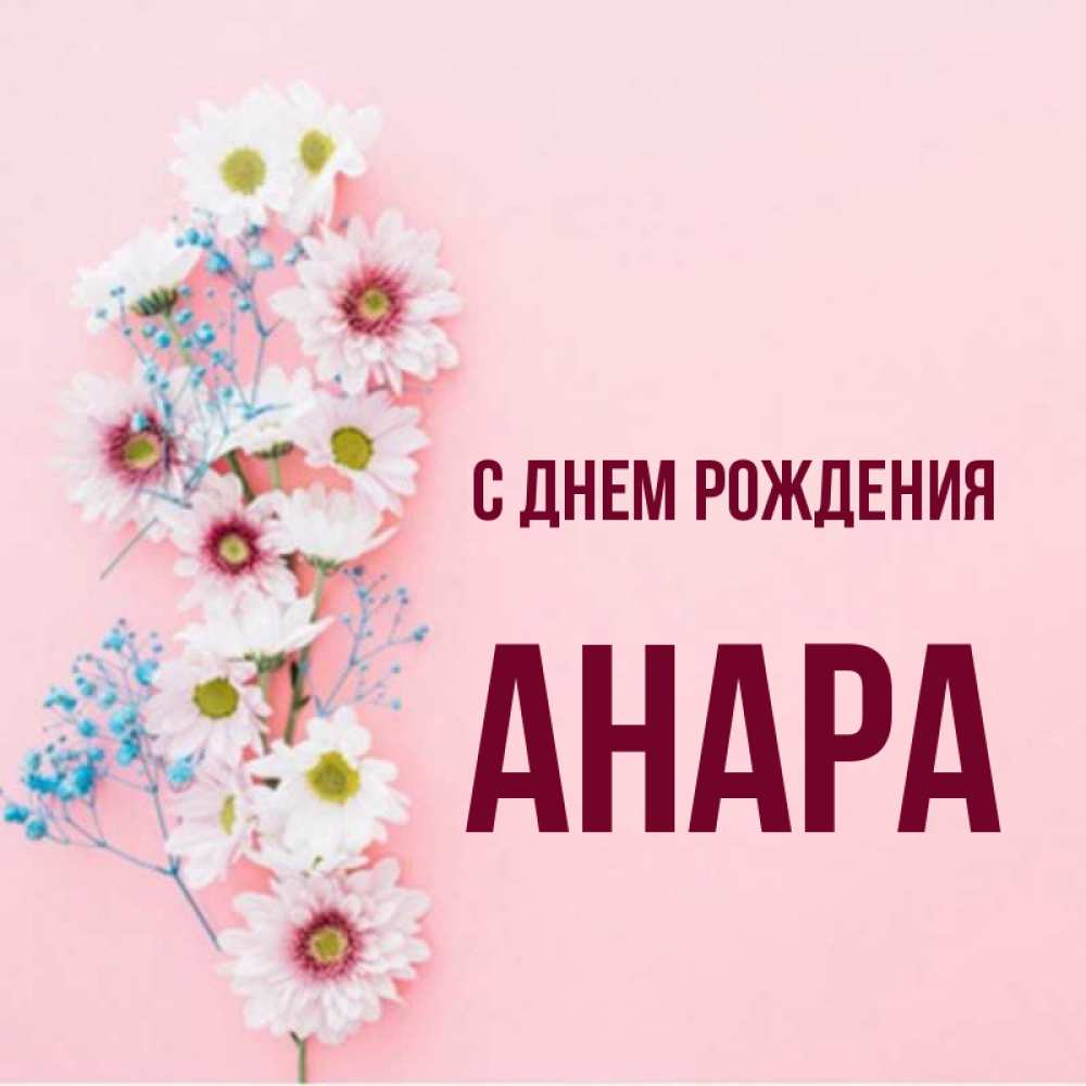 С днем рождения анара картинки красивые