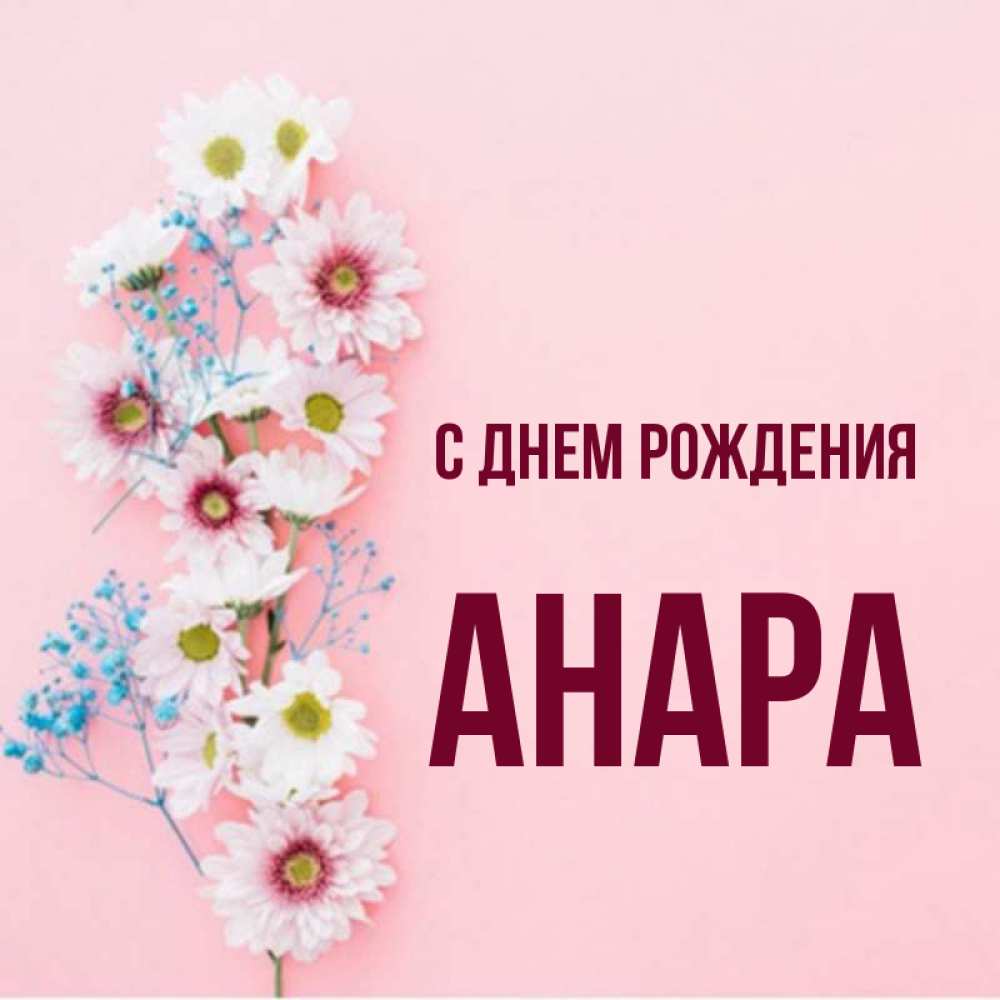 С Днем Рождения Анара Картинки