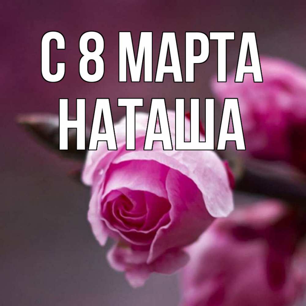 Открытка на каждый день с именем, наташа С 8 МАРТА весна Прикольная открытка с пожеланием онлайн скачать бесплатно 