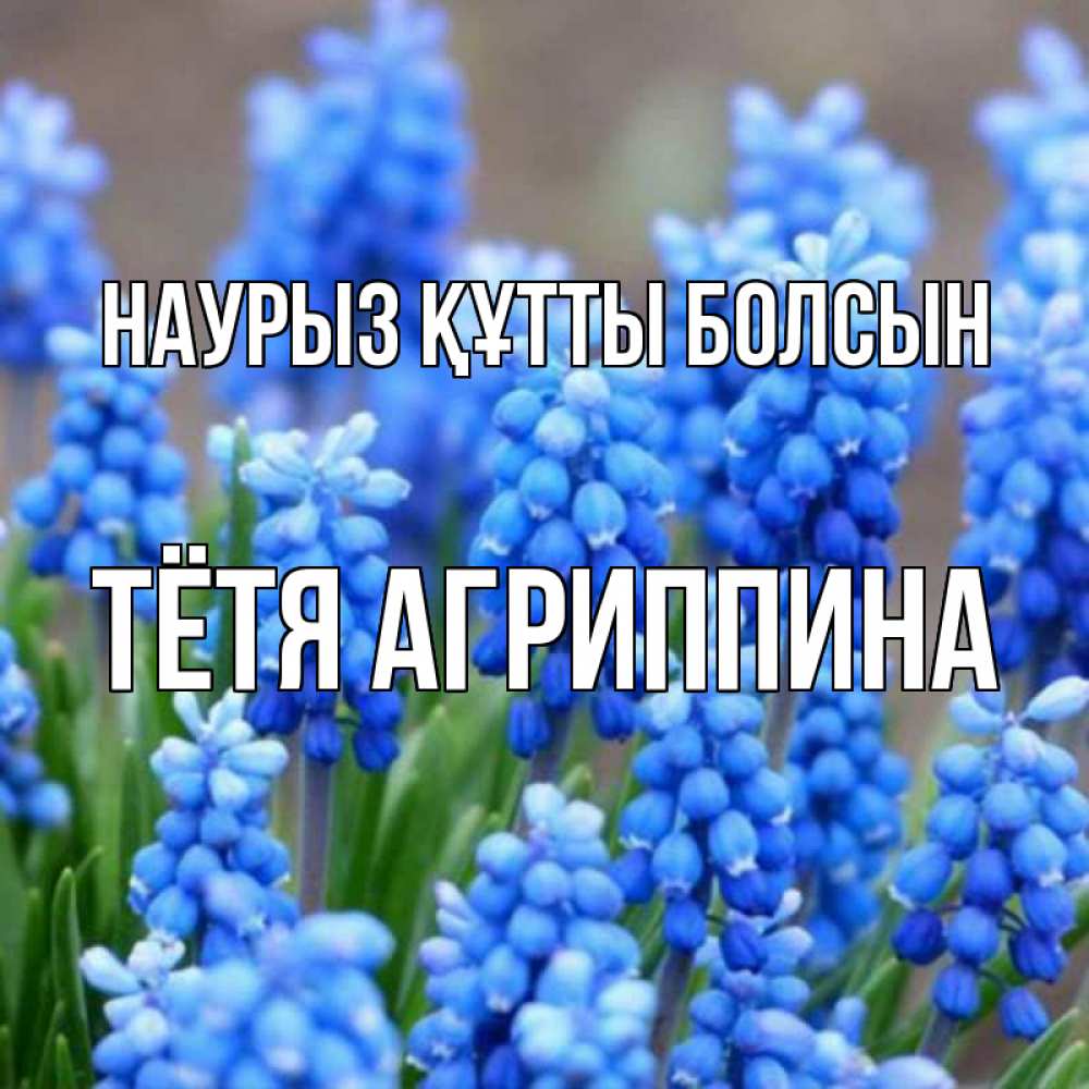 Открытка на каждый день с именем, Тётя-Агриппина Наурыз құтты болсын Поздравительная открытка для женщин с цветами на праздничную дату Прикольная открытка с пожеланием онлайн скачать бесплатно 