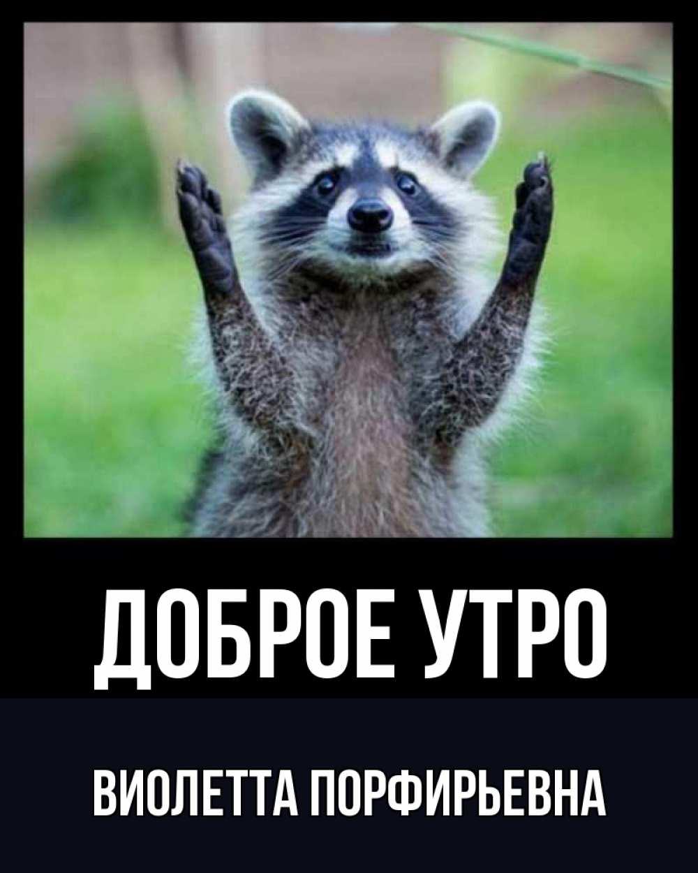 Картинка Доброе утро, Виолетта Порфирьевна