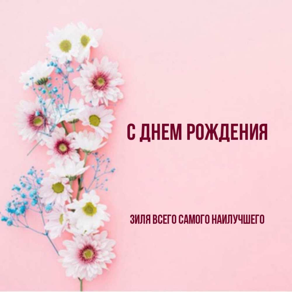 Поздравлениями днем, зиля открытки с днем рождения