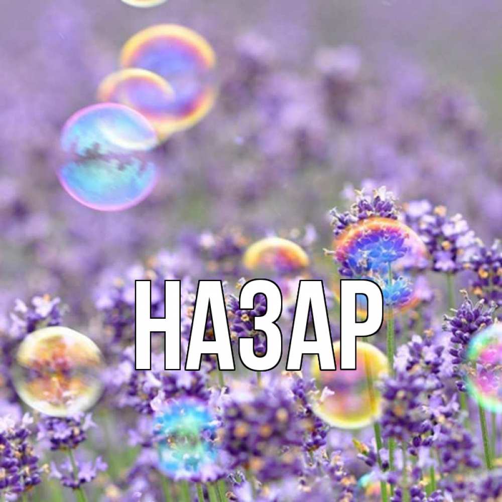 Открытка на каждый день с именем, Назар Главная цветы Прикольная открытка с пожеланием онлайн скачать бесплатно 