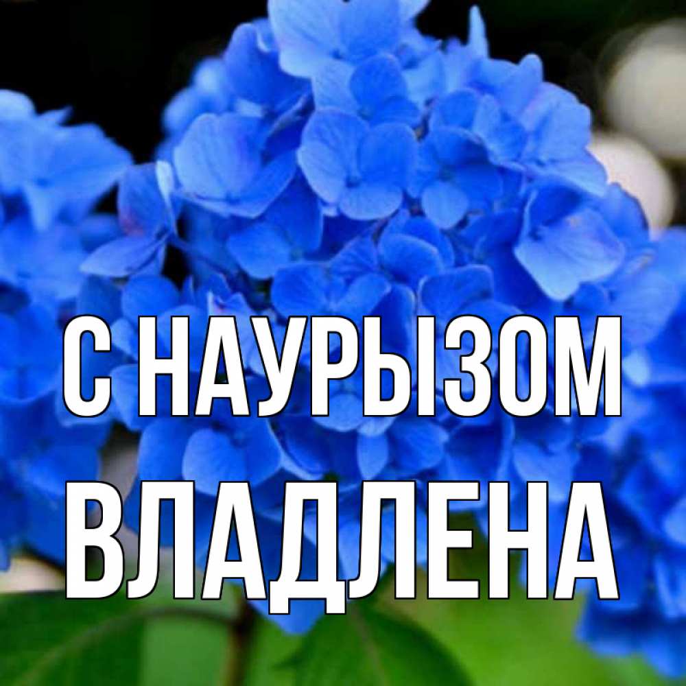 Открытка на каждый день с именем, Владлена С наурызом синие цветы Прикольная открытка с пожеланием онлайн скачать бесплатно 
