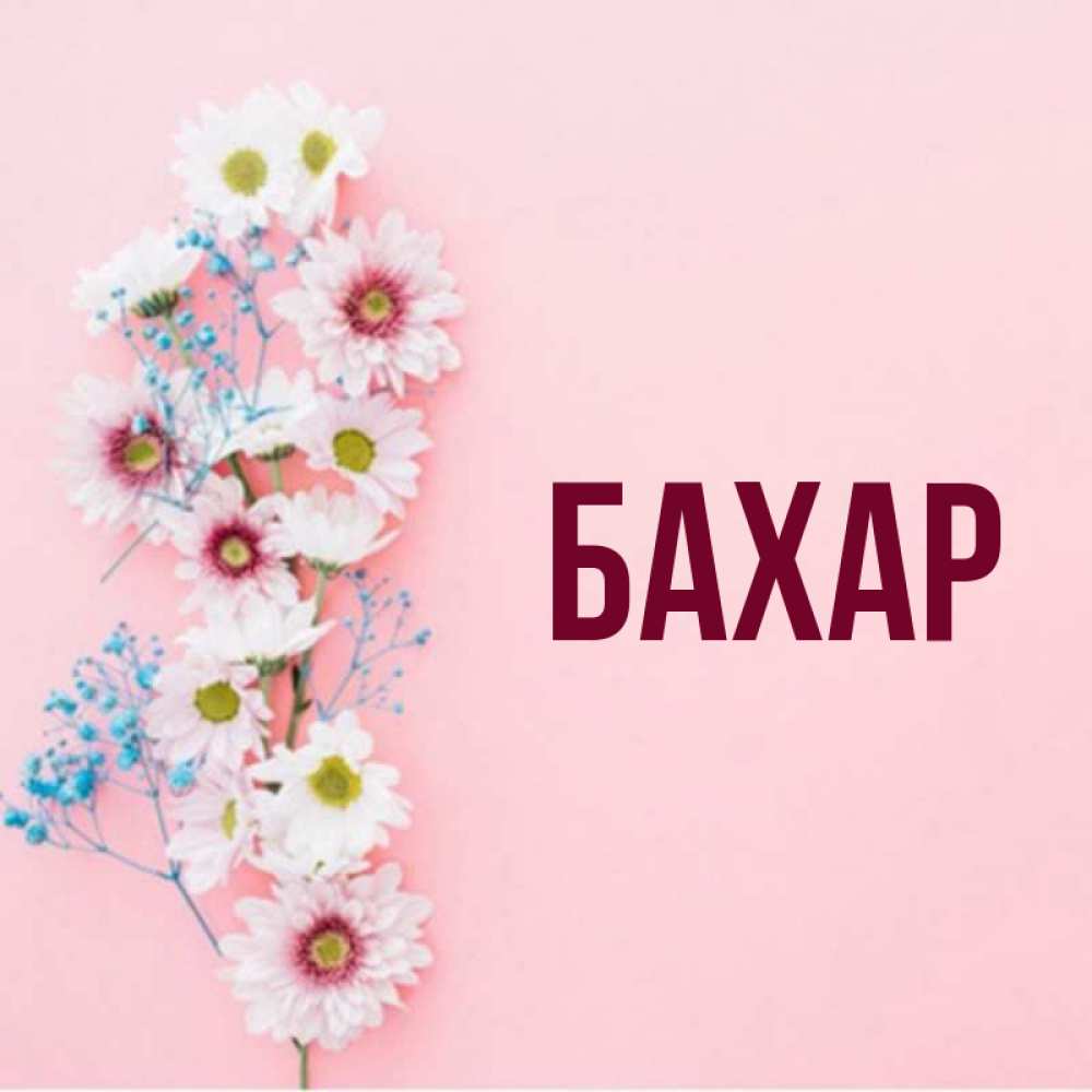 Картинка  с именем , Бахар