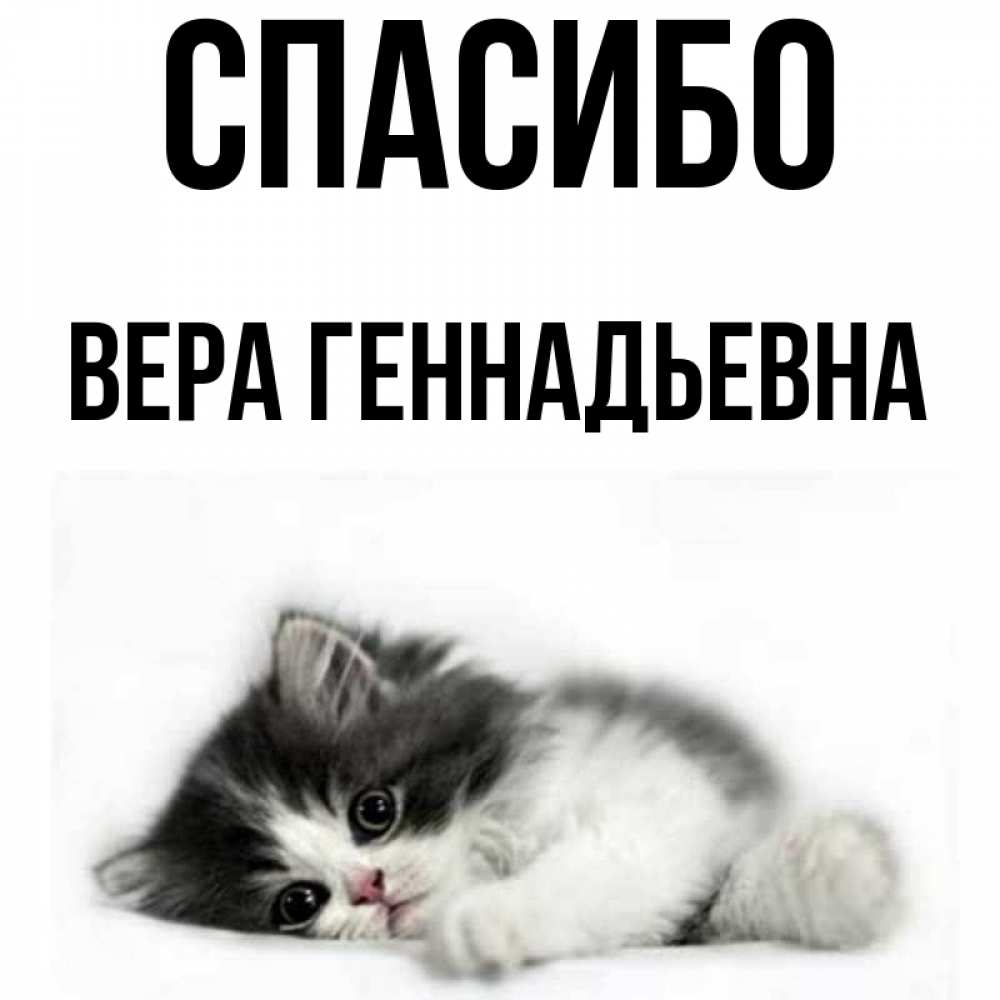 Спасибо Вера