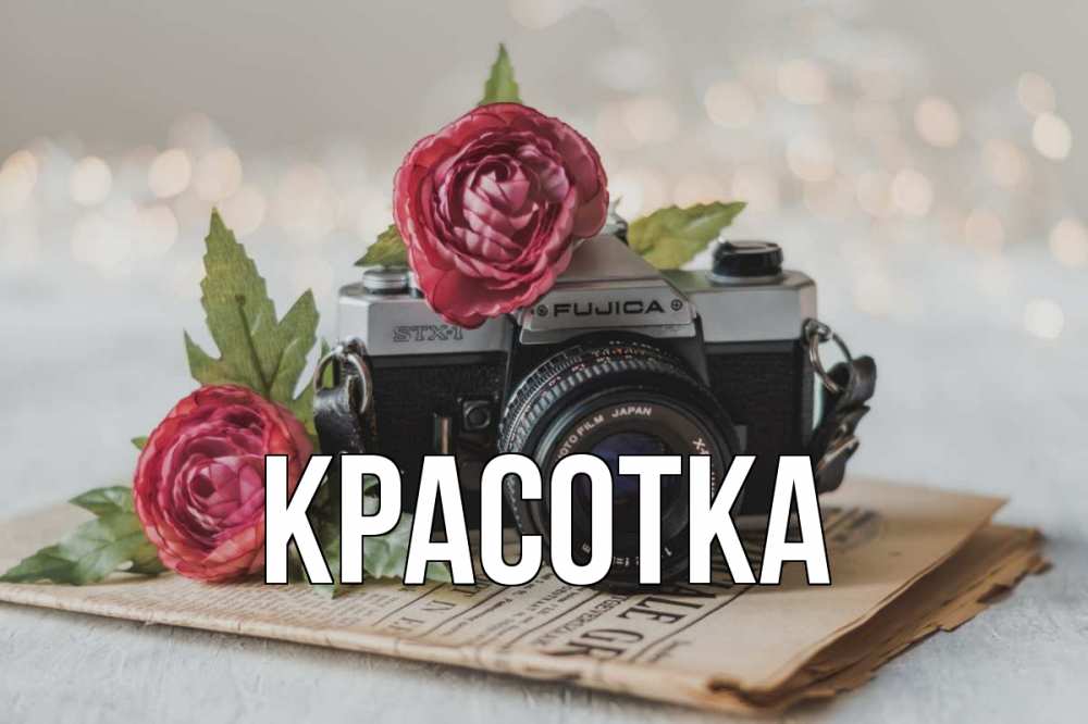 Открытка на каждый день с именем, красотка Главная с днем фотографа Прикольная открытка с пожеланием онлайн скачать бесплатно 