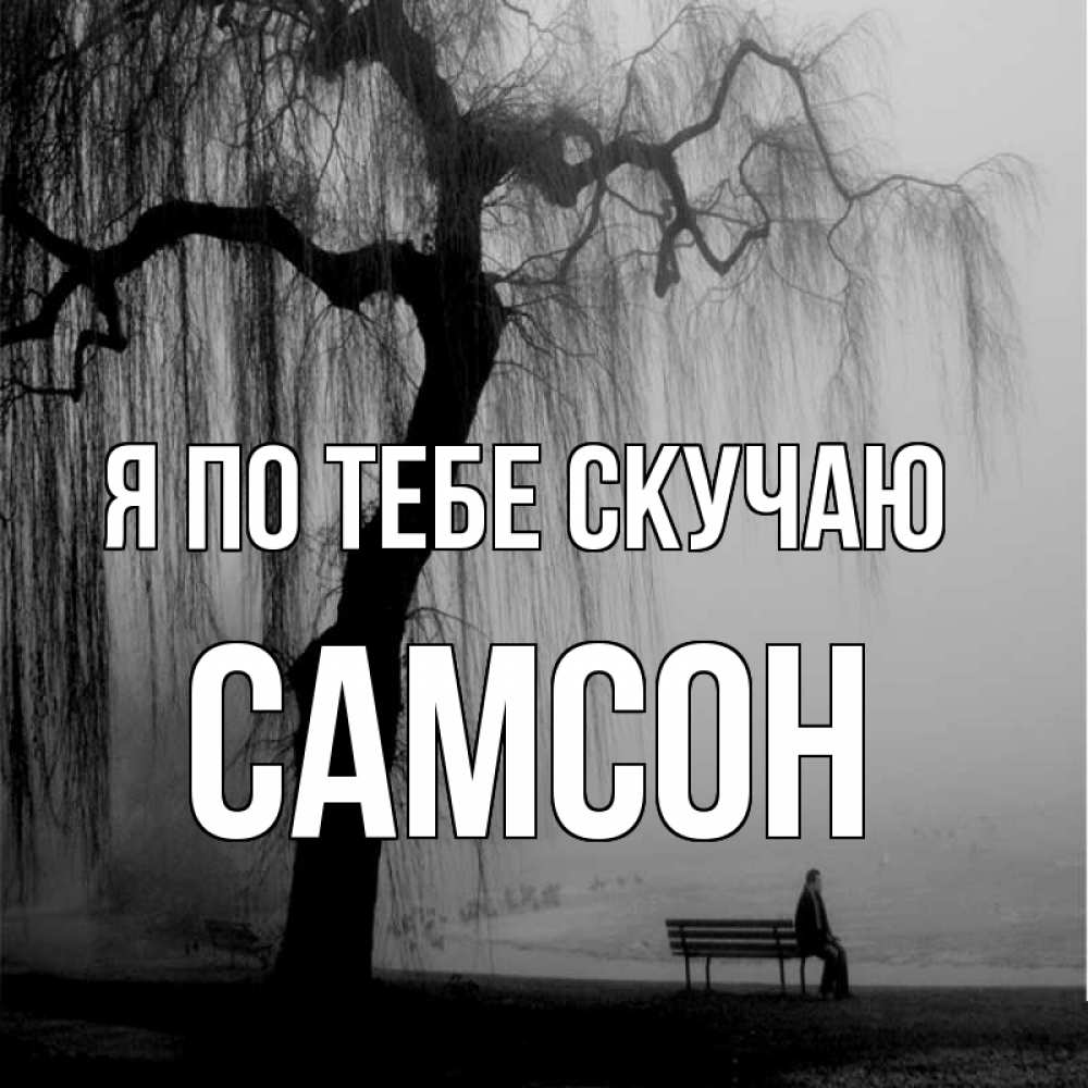 Открытка на каждый день с именем, Самсон Я по тебе скучаю лавочка под деревом я жду тебя Прикольная открытка с пожеланием онлайн скачать бесплатно 