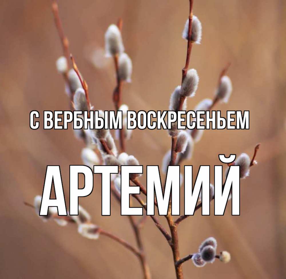 Открытка на каждый день с именем, Артемий С вербным воскресеньем верба Прикольная открытка с пожеланием онлайн скачать бесплатно 