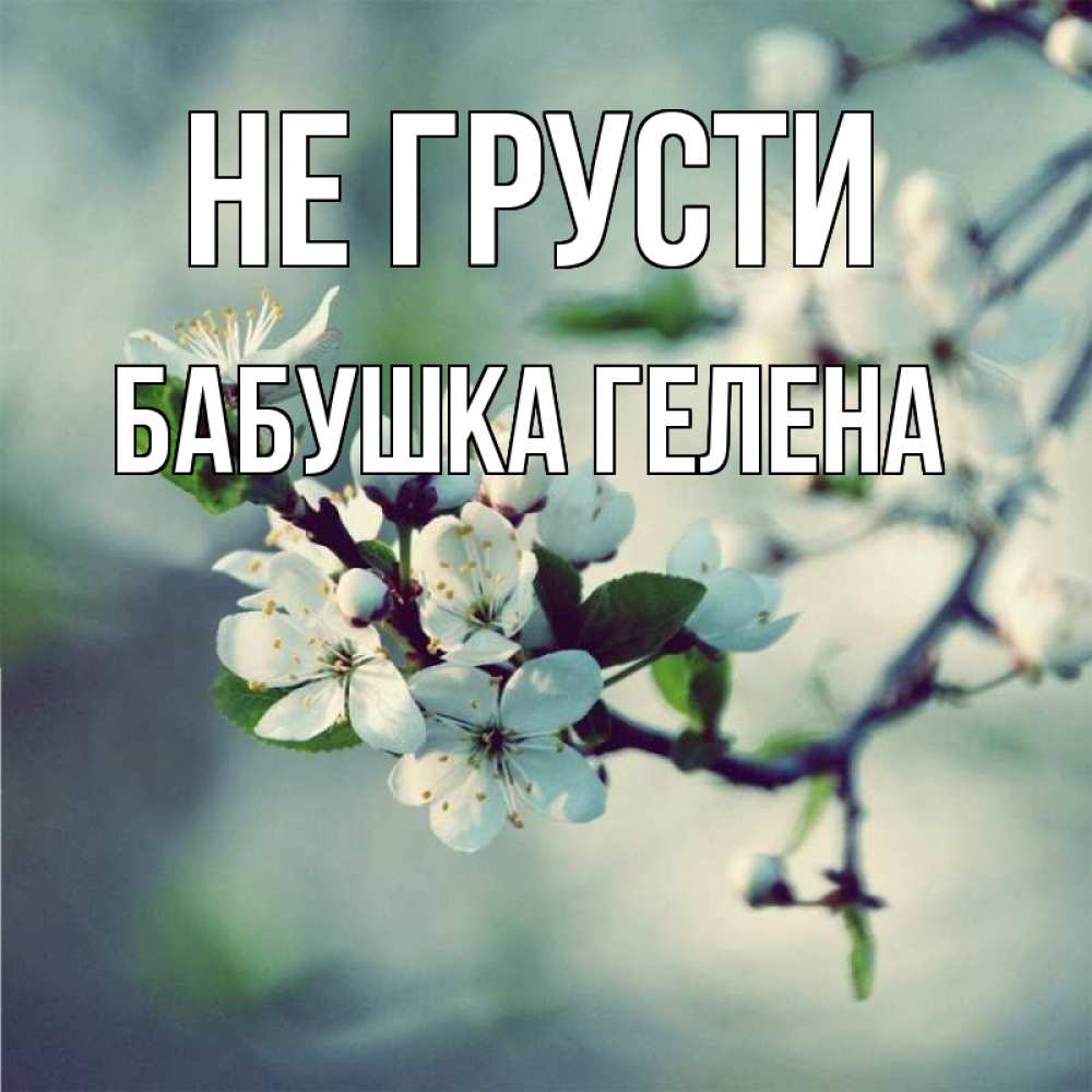 Открытка на каждый день с именем, Бабушка-Гелена Не грусти яблоня в цвету 1 Прикольная открытка с пожеланием онлайн скачать бесплатно 