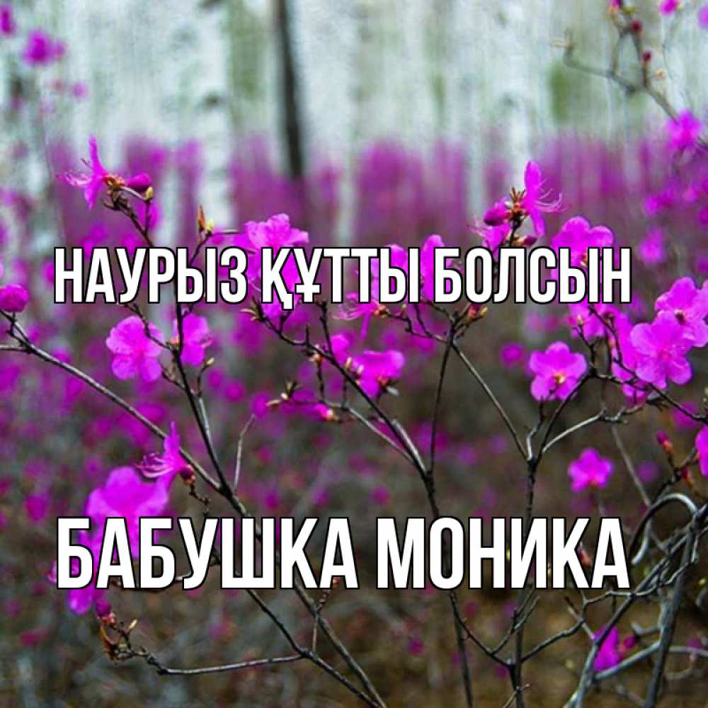 Картинка Наурыз құтты болсын, Бабушка Моника