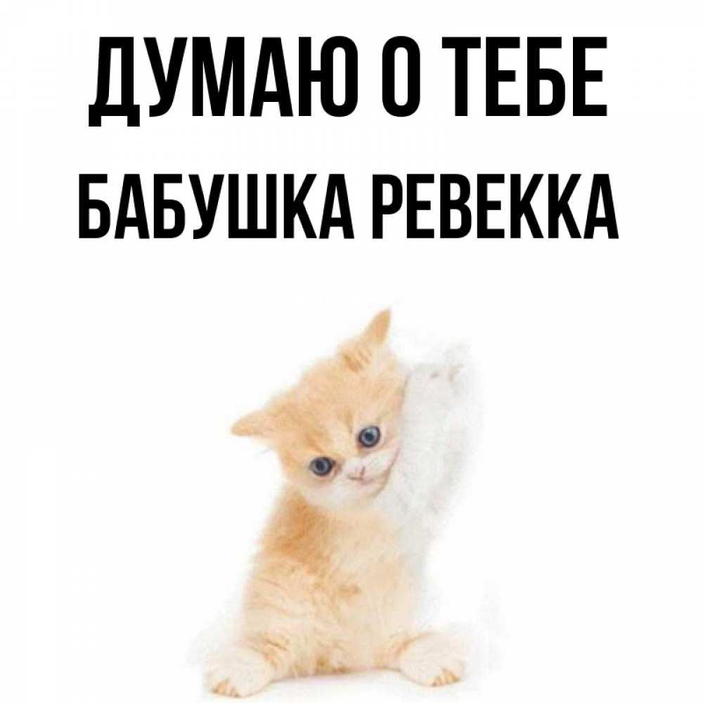 Открытка на каждый день с именем, Бабушка-Ревекка Думаю о тебе зверушки и милота Прикольная открытка с пожеланием онлайн скачать бесплатно 