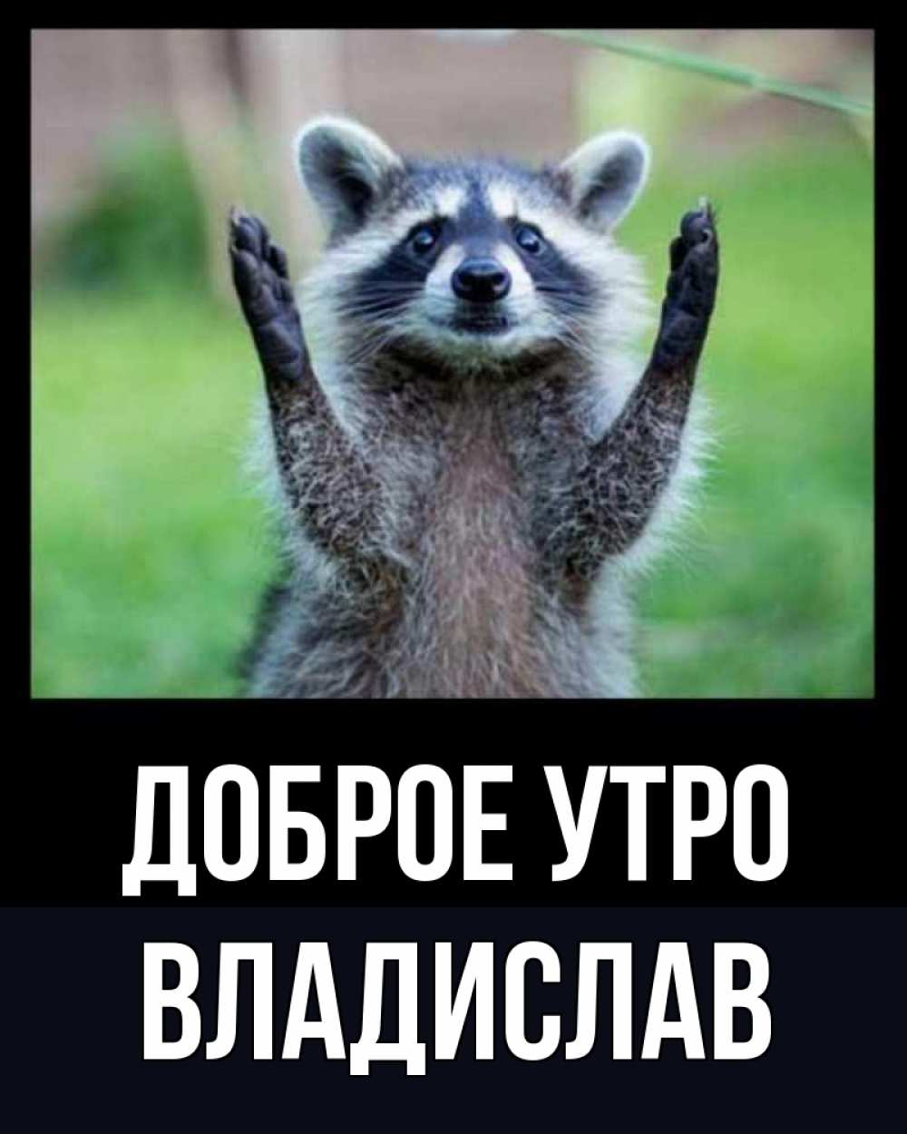 Открытка на каждый день с именем, Владислав Доброе утро хорошее настроение утречком Прикольная открытка с пожеланием онлайн скачать бесплатно 