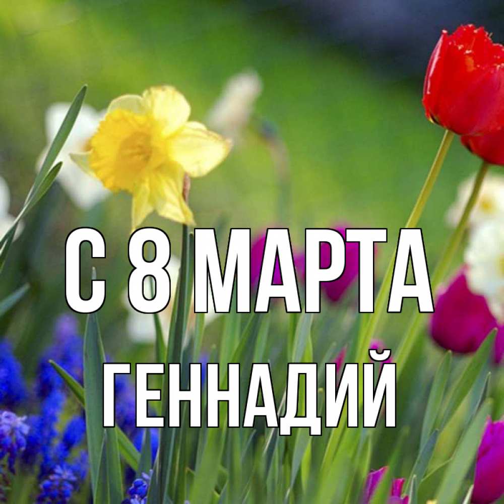 Открытка на каждый день с именем, Геннадий С 8 марта международный женский день 3 Прикольная открытка с пожеланием онлайн скачать бесплатно 