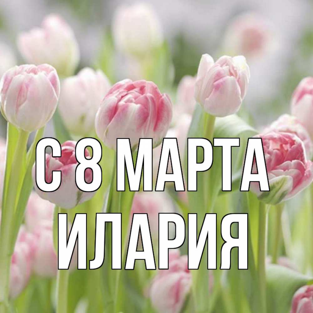 Открытка на каждый день с именем, Илария С 8 МАРТА цветы Прикольная открытка с пожеланием онлайн скачать бесплатно 