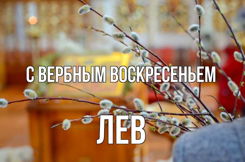 Открытка на каждый день с именем, Лев С вербным воскресеньем верба Прикольная открытка с пожеланием онлайн скачать бесплатно 