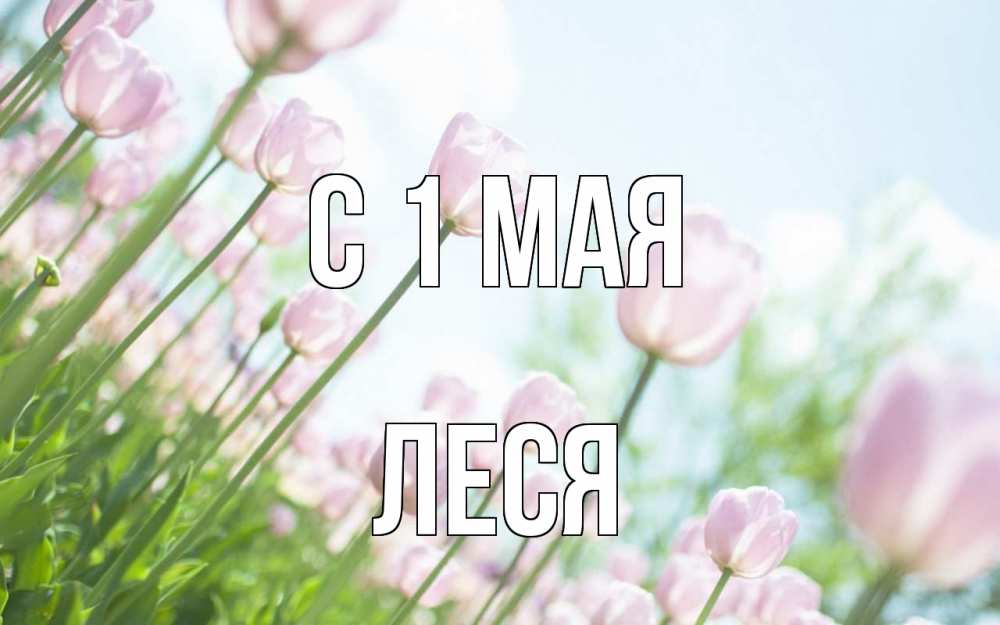Открытка на каждый день с именем, Леся С 1 мая С 1 мая Прикольная открытка с пожеланием онлайн скачать бесплатно 