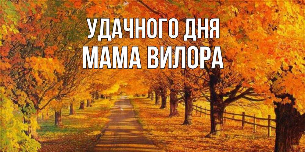 Открытка на каждый день с именем, Мама-Вилора Удачного дня деревья с осенними листьями Прикольная открытка с пожеланием онлайн скачать бесплатно 