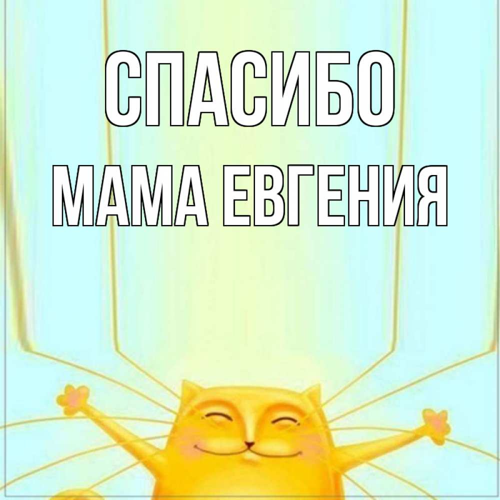 Открытка на каждый день с именем, Мама-Евгения Спасибо кот с усами благодарит Прикольная открытка с пожеланием онлайн скачать бесплатно 