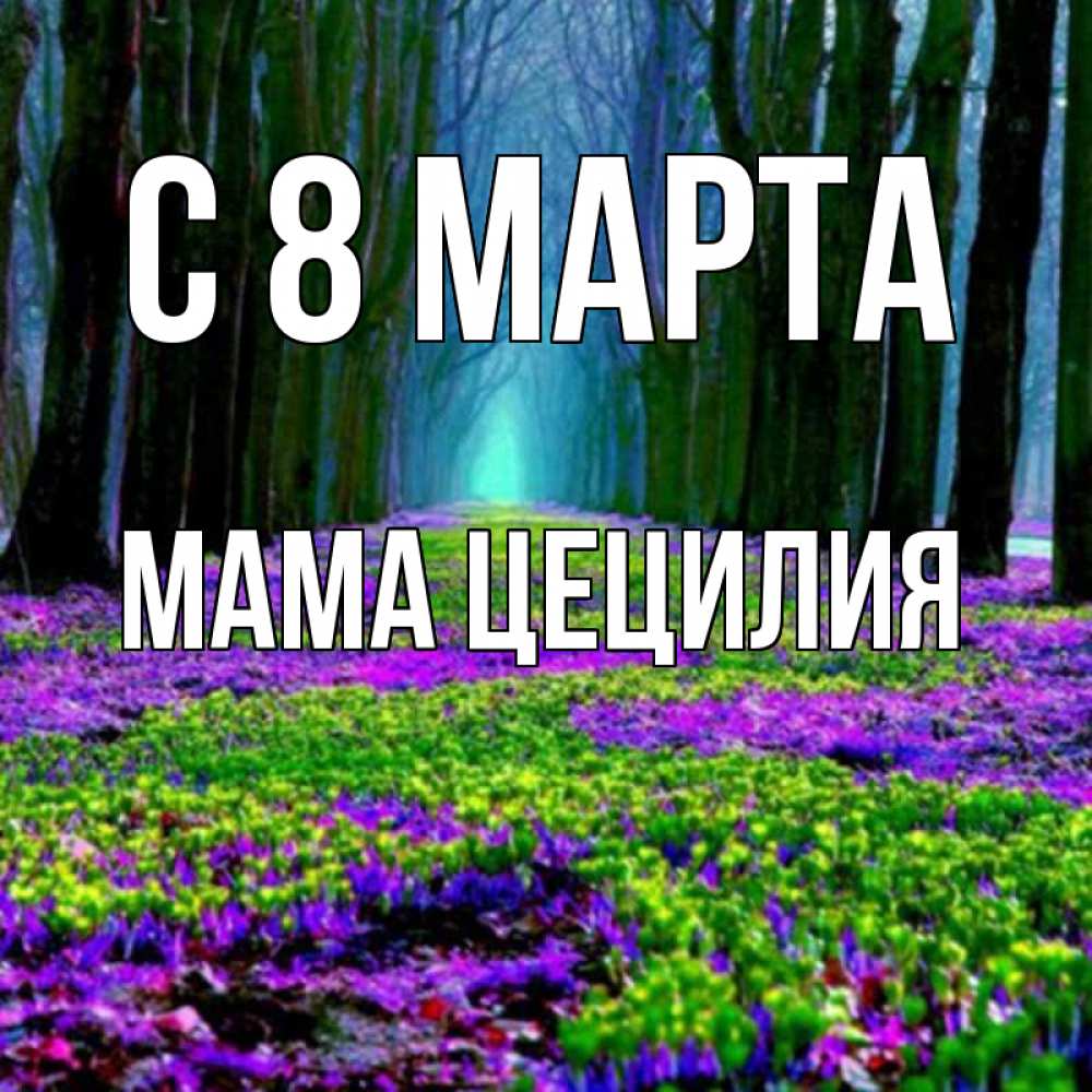 Открытка на каждый день с именем, Мама-Цецилия С 8 МАРТА фиолетовые цветы в лесу 1 Прикольная открытка с пожеланием онлайн скачать бесплатно 