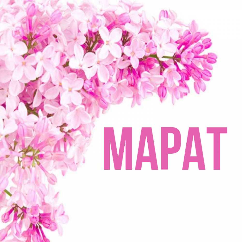 Знаменитости С Именем Марат