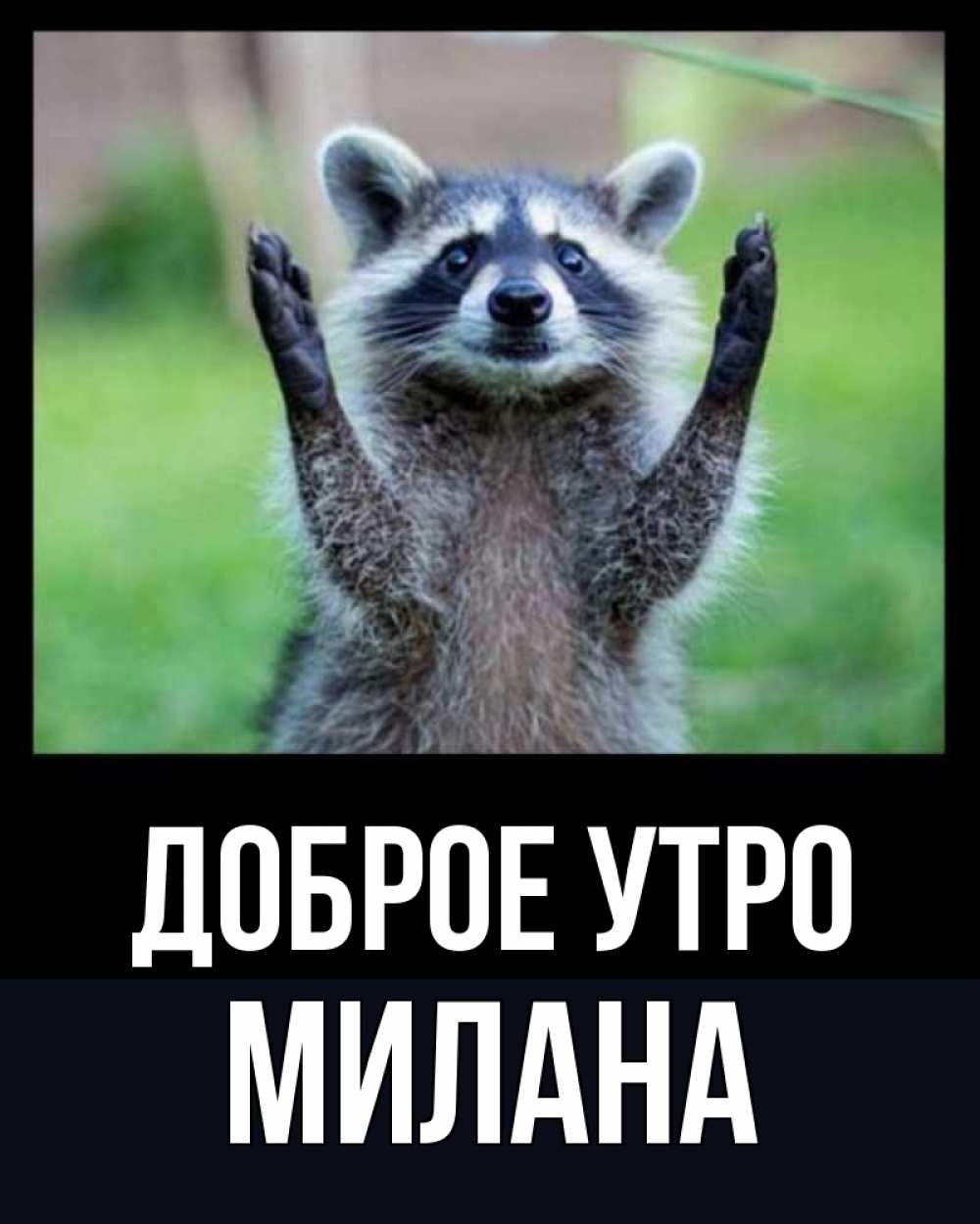 Открытка на каждый день с именем, Милана Доброе утро хорошее настроение утречком Прикольная открытка с пожеланием онлайн скачать бесплатно 