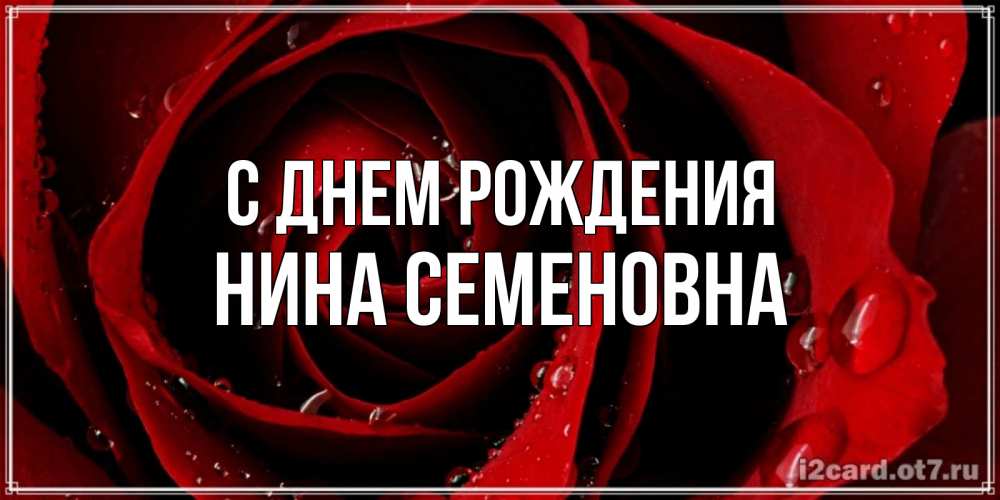 Открытка на каждый день с именем, Нина-Семеновна С днем рождения крупная бордовая роза Прикольная открытка с пожеланием онлайн скачать бесплатно 